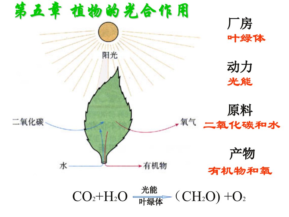 植物生理学第5章光合作用