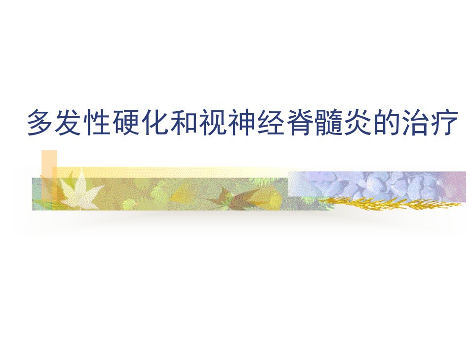 《多发性硬化的治疗》PPT课件