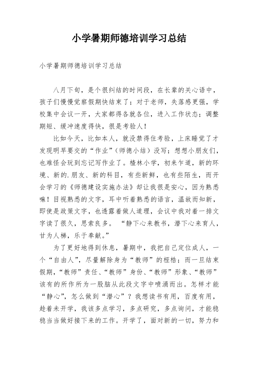 小学暑期师德培训学习总结