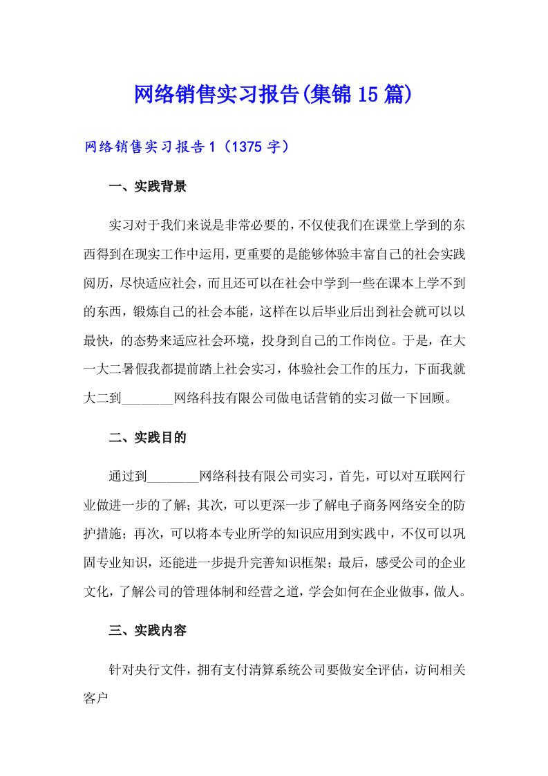 网络销售实习报告(集锦15篇)