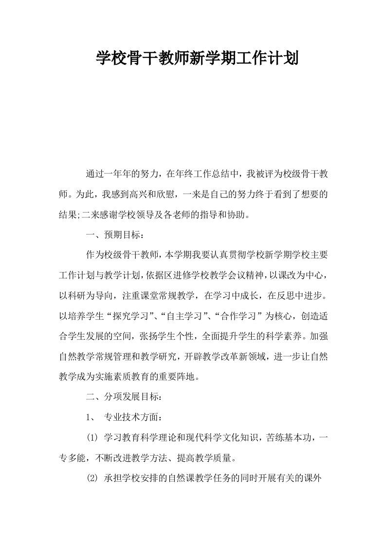 学校骨干教师新学期工作计划