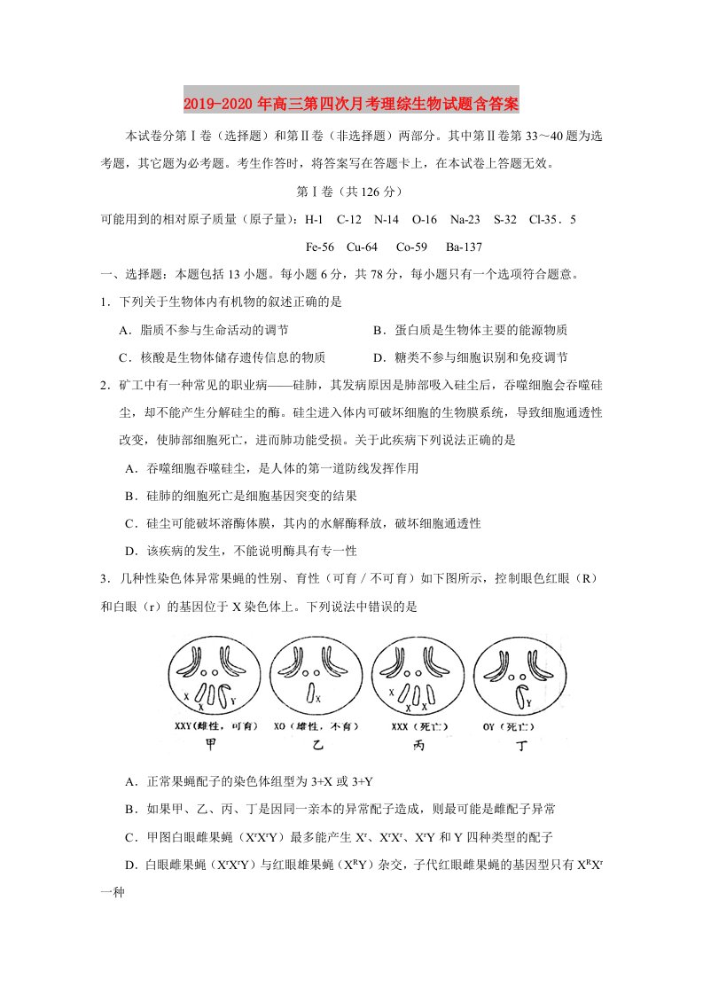 2019-2020年高三第四次月考理综生物试题含答案