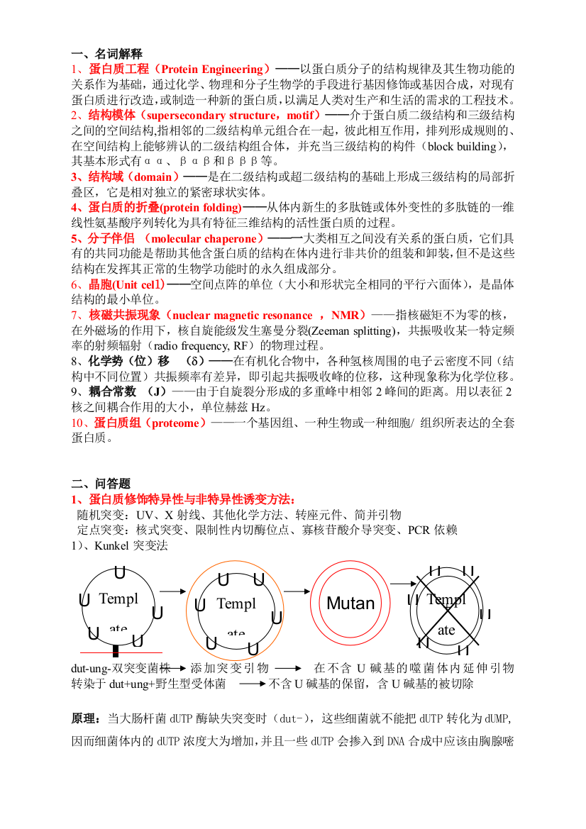 蛋白质工程重点