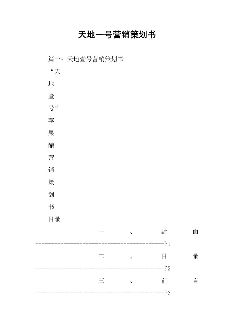 天地一号营销策划书