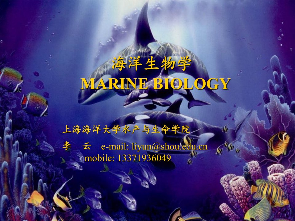 海洋生物学全套课件