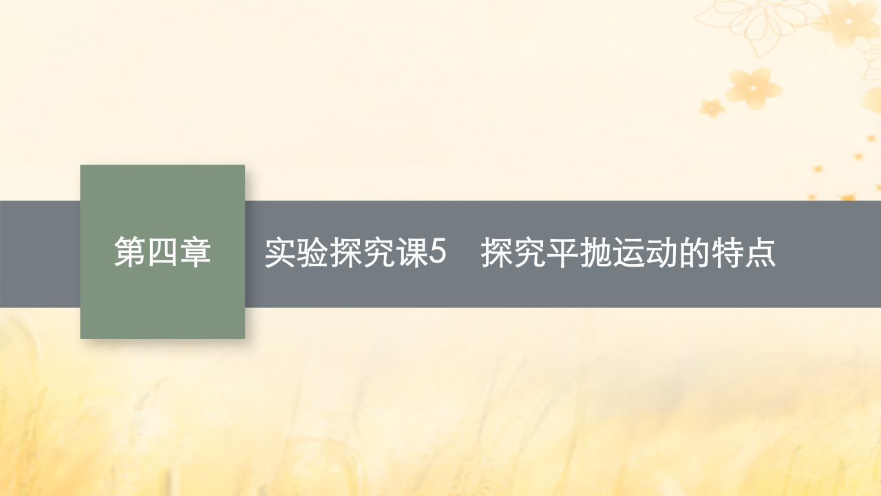 适用于新教材2024版高考物理一轮总复习第4章曲线运动万有引力与航天实验探究课5探究平抛运动的特点课件