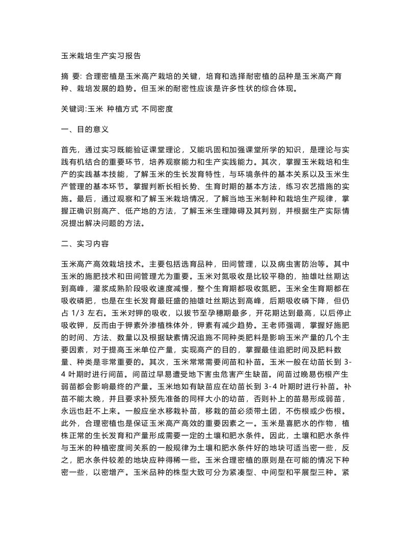 玉米栽培生产实习报告