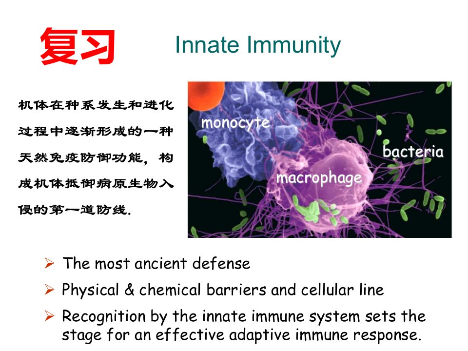 博士生课程固有免疫模式识别