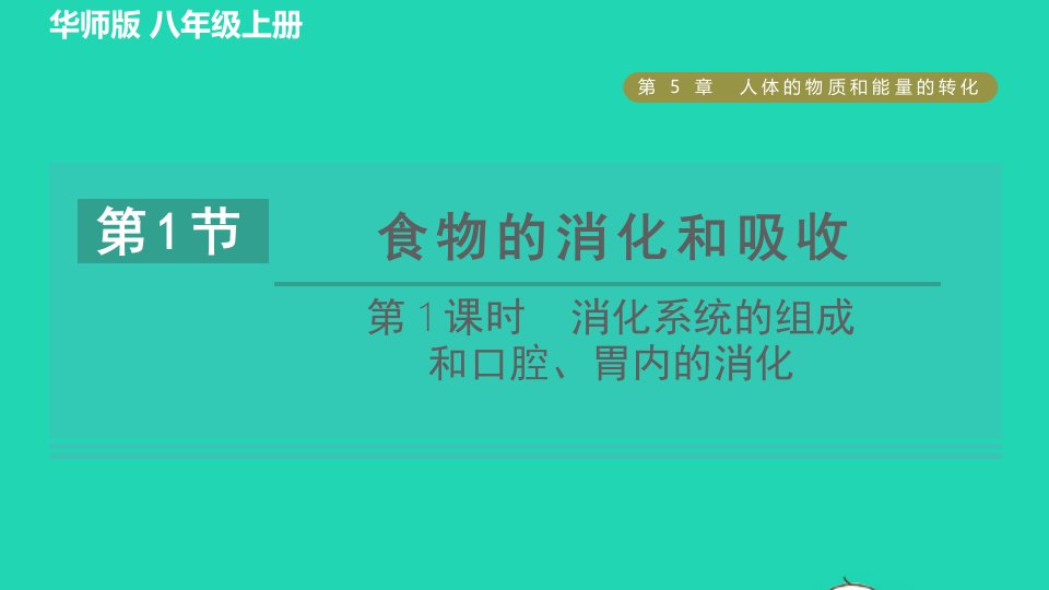 2021秋八年级科学上册第5章人体的物质和能量的转化5.1食物的消化和吸收第1课时消化系统的组成和口腔胃内的消化习题课件新版华东师大版