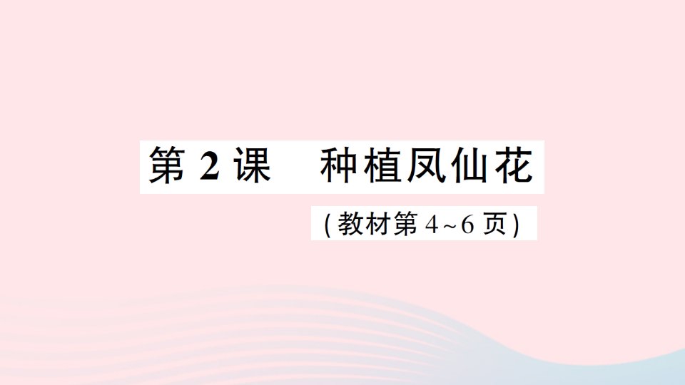 2023四年级科学下册第一单元植物的生长变化第2课种植凤仙花作业课件教科版