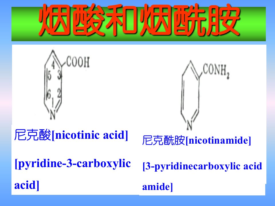 医学ppt课件烟酸NicotinicAcid烟酰胺和NADCoINADP