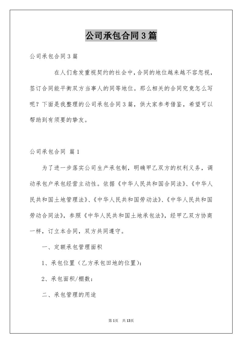 公司承包合同3篇例文