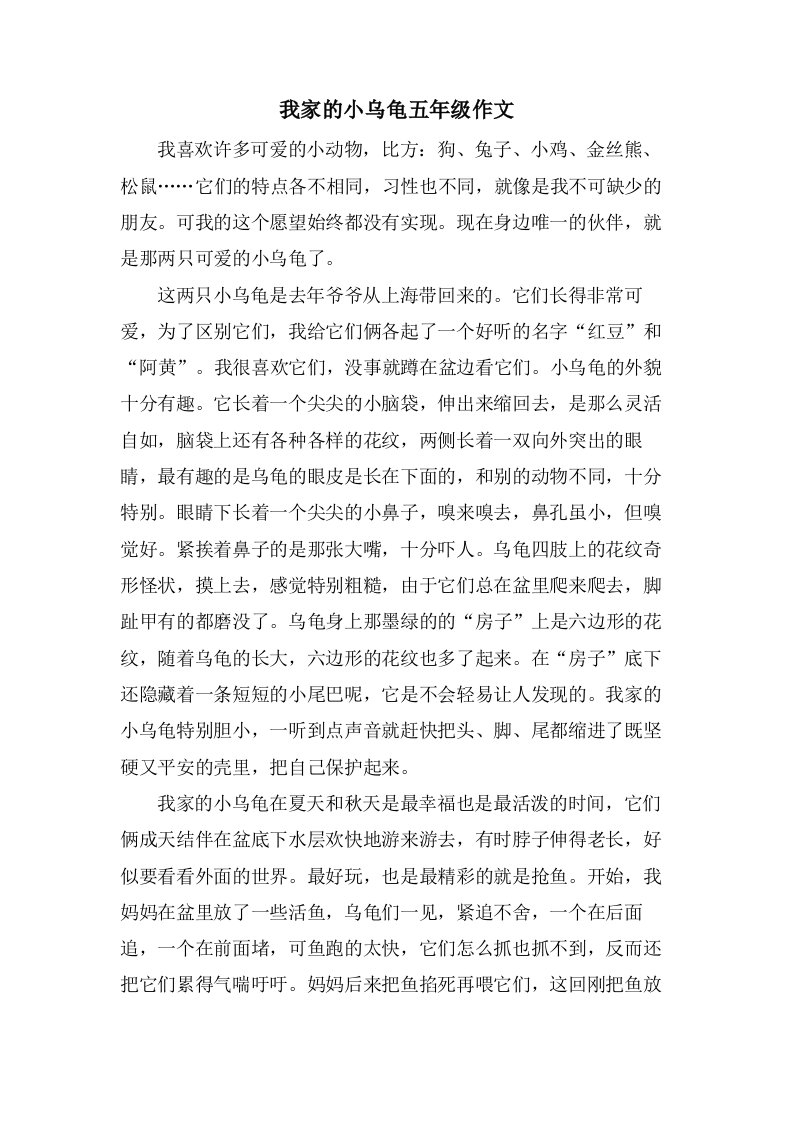 我家的小乌龟五年级作文