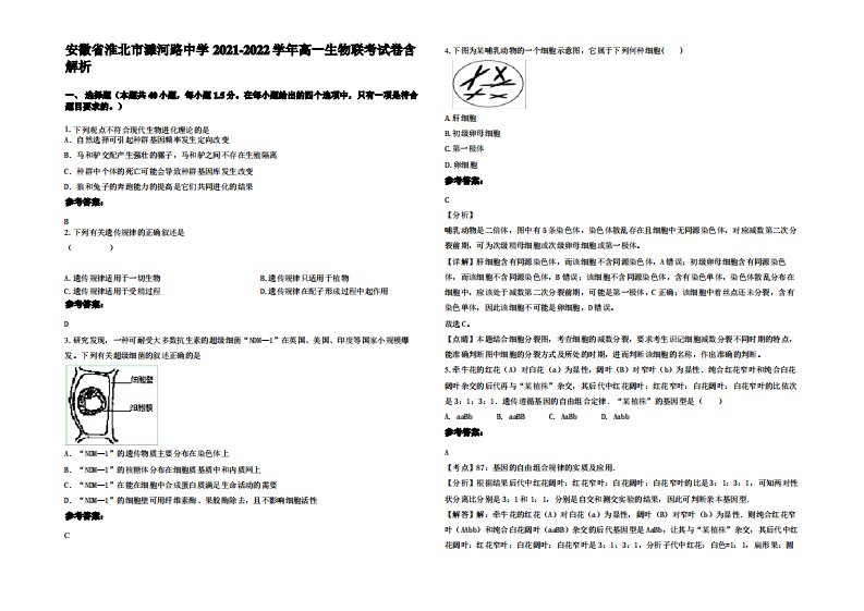 安徽省淮北市濉河路中学2021-2022学年高一生物联考试卷含解析