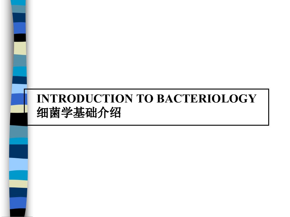 常见细菌分类-幻灯片