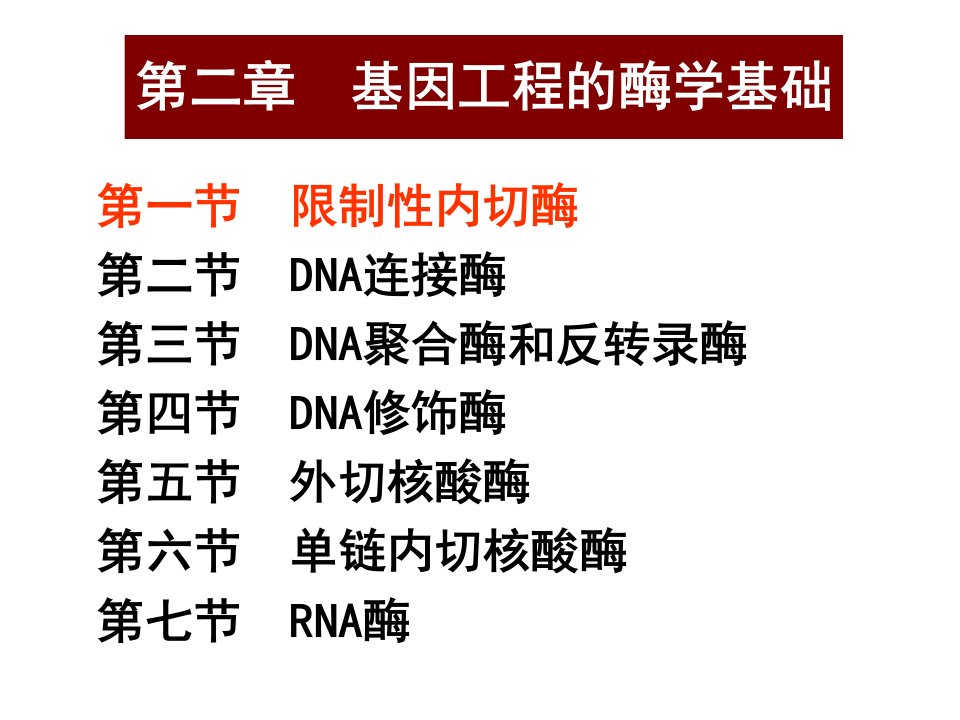 基因工程酶学基础