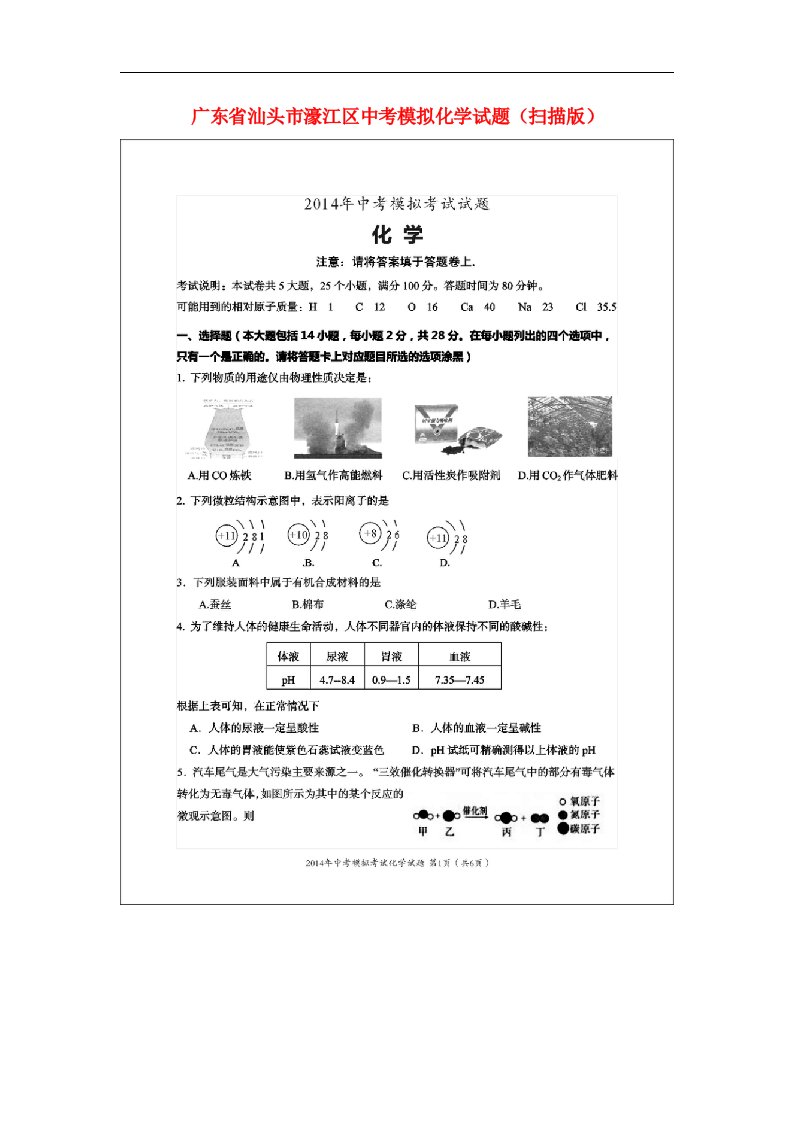 广东省汕头市濠江区中考化学模拟试题（扫描版）