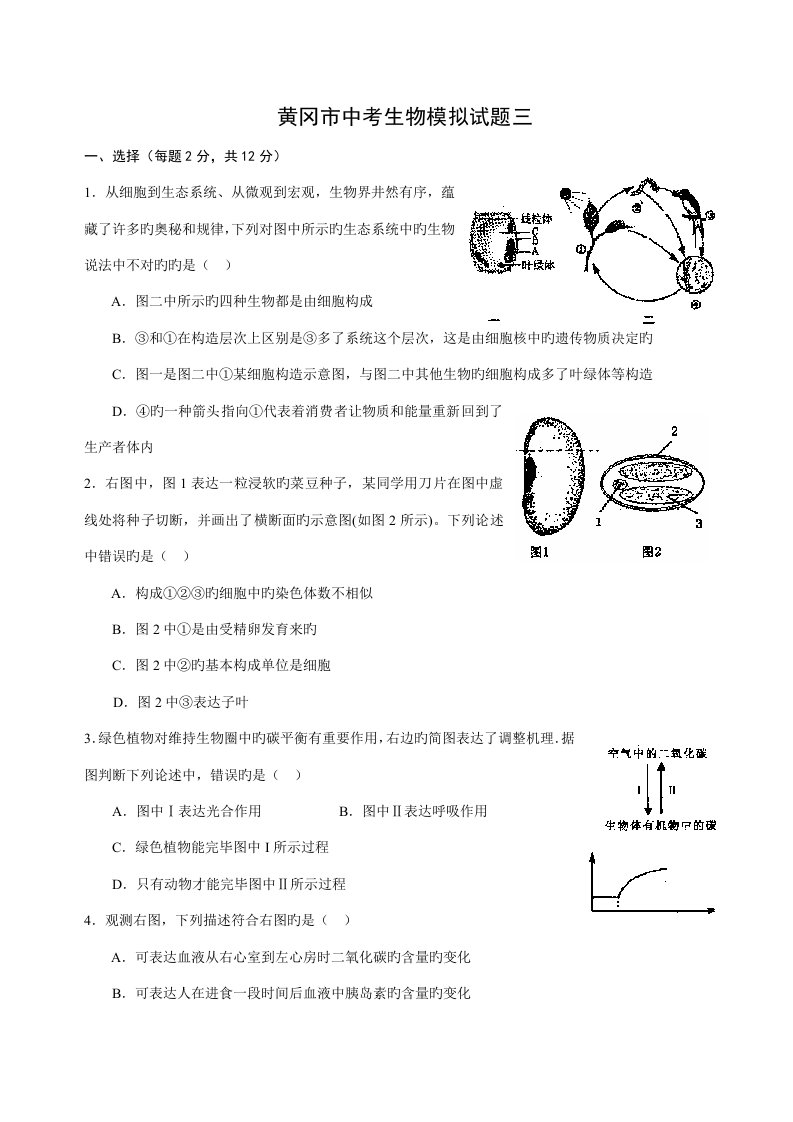 黄冈市中考生物模拟试题