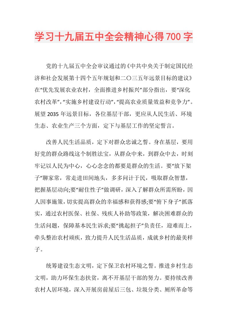 学习十九五中全会精神心得700字