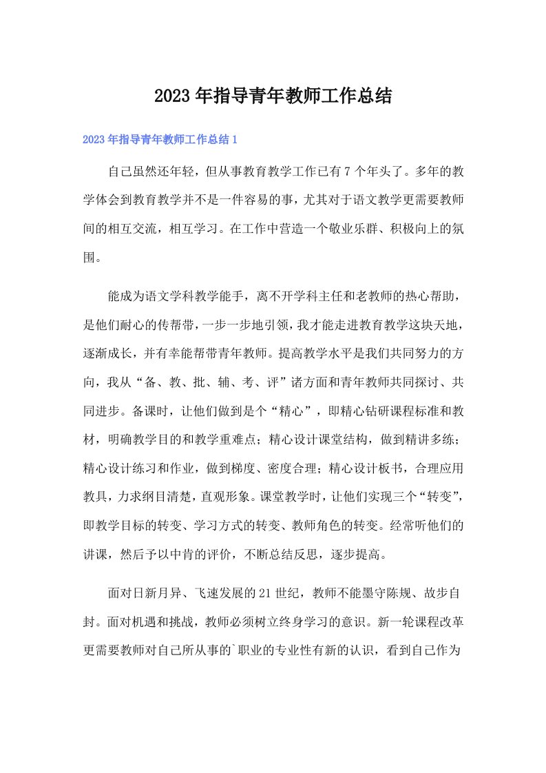 指导青年教师工作总结