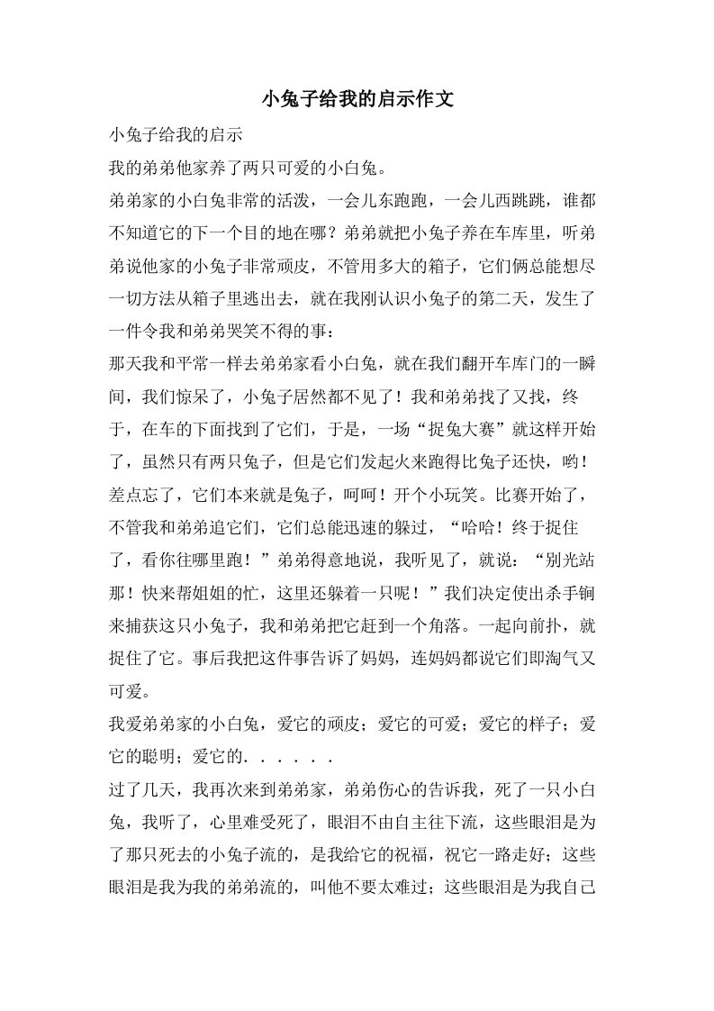 小兔子给我的启示作文