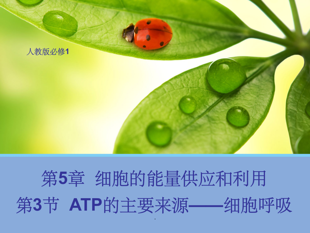 【生物】5.3-ATP的主要来源——细胞呼吸-1(人教版必修1)