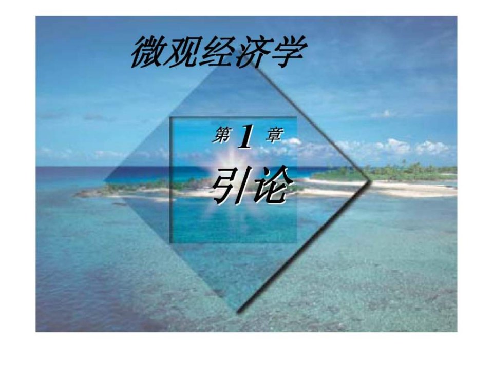 微观经济学第1章引论ppt课件