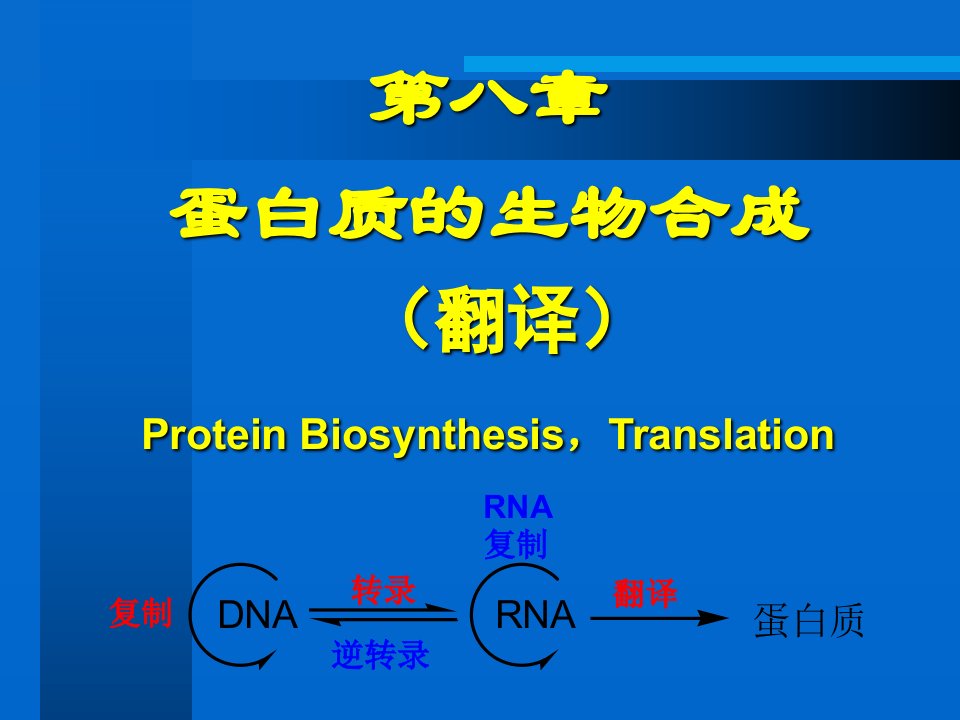 第八章蛋白质的生物合成课件