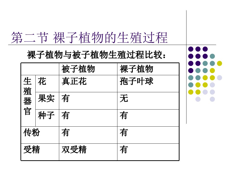 裸子植物的生殖过程