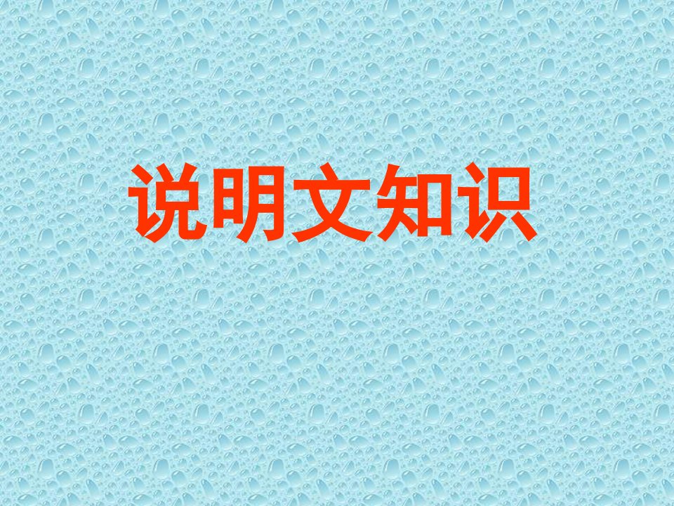 《说明文知识》PPT课件