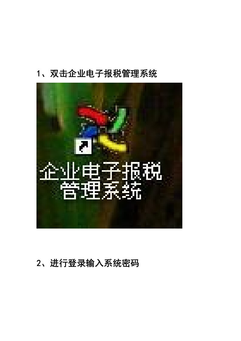 一般纳税人企业电子报税系统操作