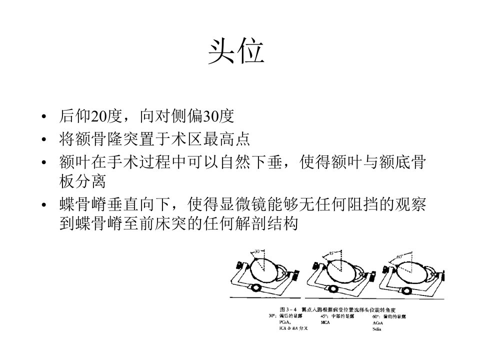 湘雅颅脑应用解剖课件