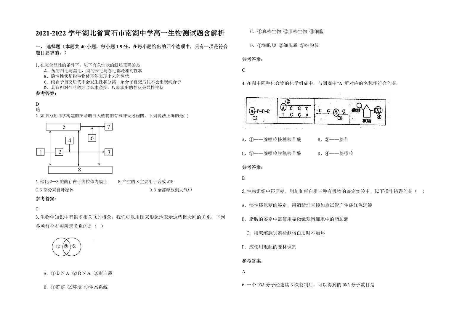 2021-2022学年湖北省黄石市南湖中学高一生物测试题含解析