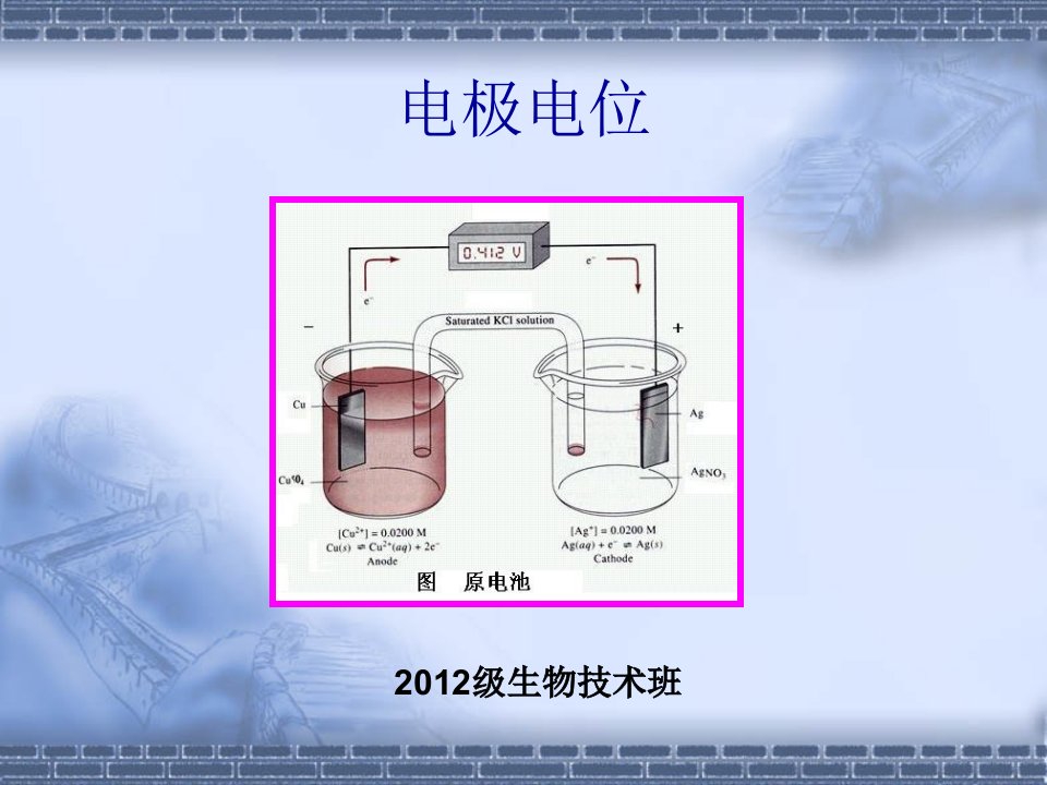 电极电位-课件（PPT讲稿）