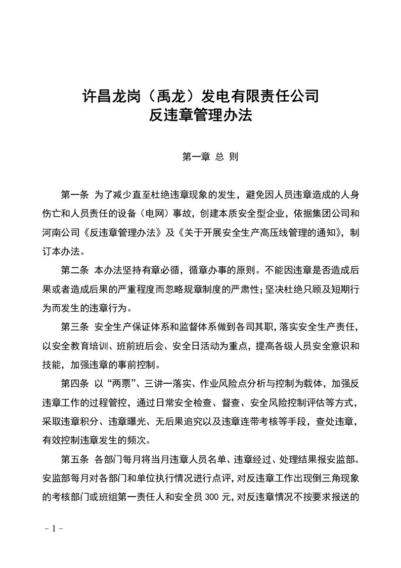 精选某发电有限责任公司反违章管理办法