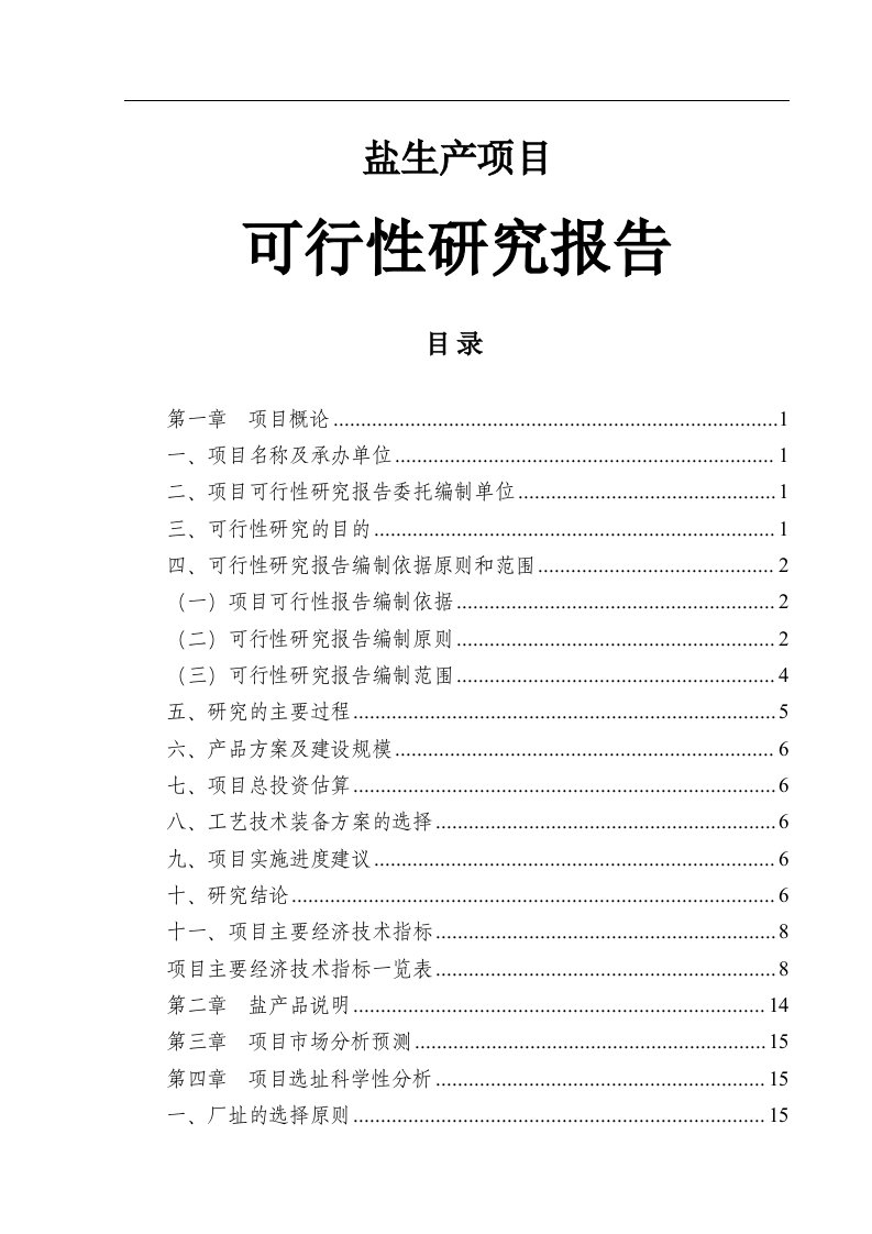 盐生产项目可行性研究报告