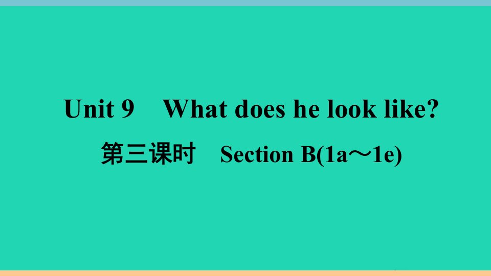 安徽专版七年级英语下册Unit9Whatdoeshelooklike第三课时SectionB1a_1e作业课件新版人教新目标版