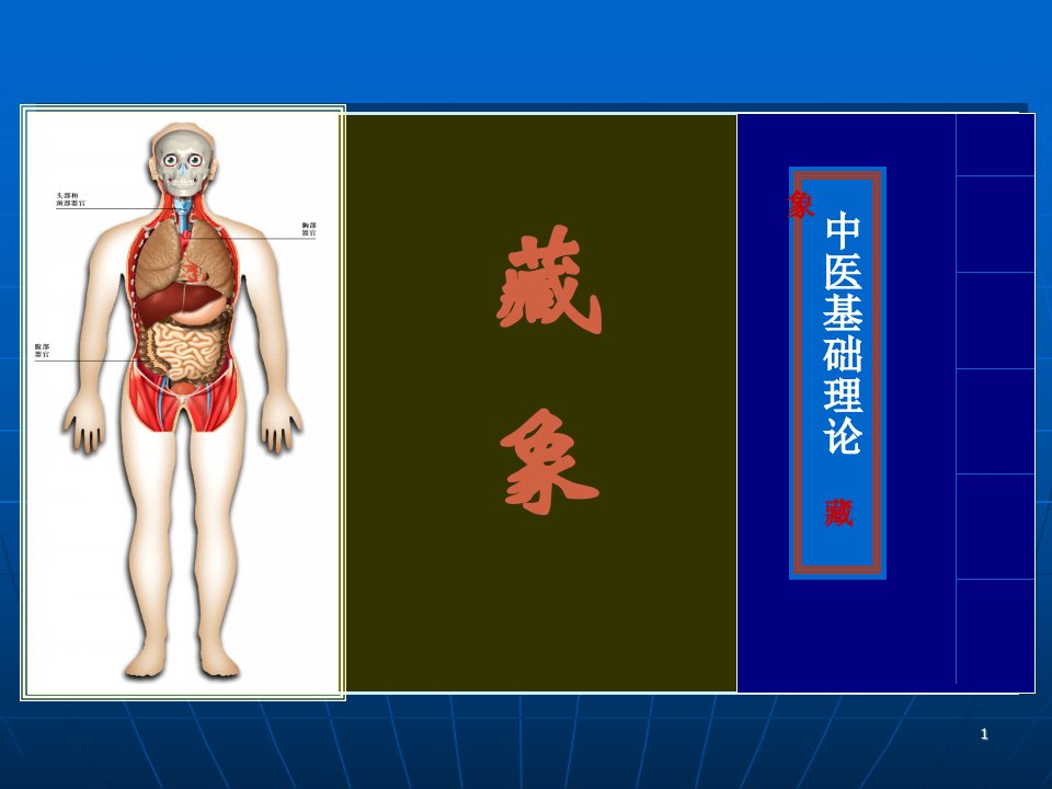 中医学基础1藏象学说脏腑之间的关系