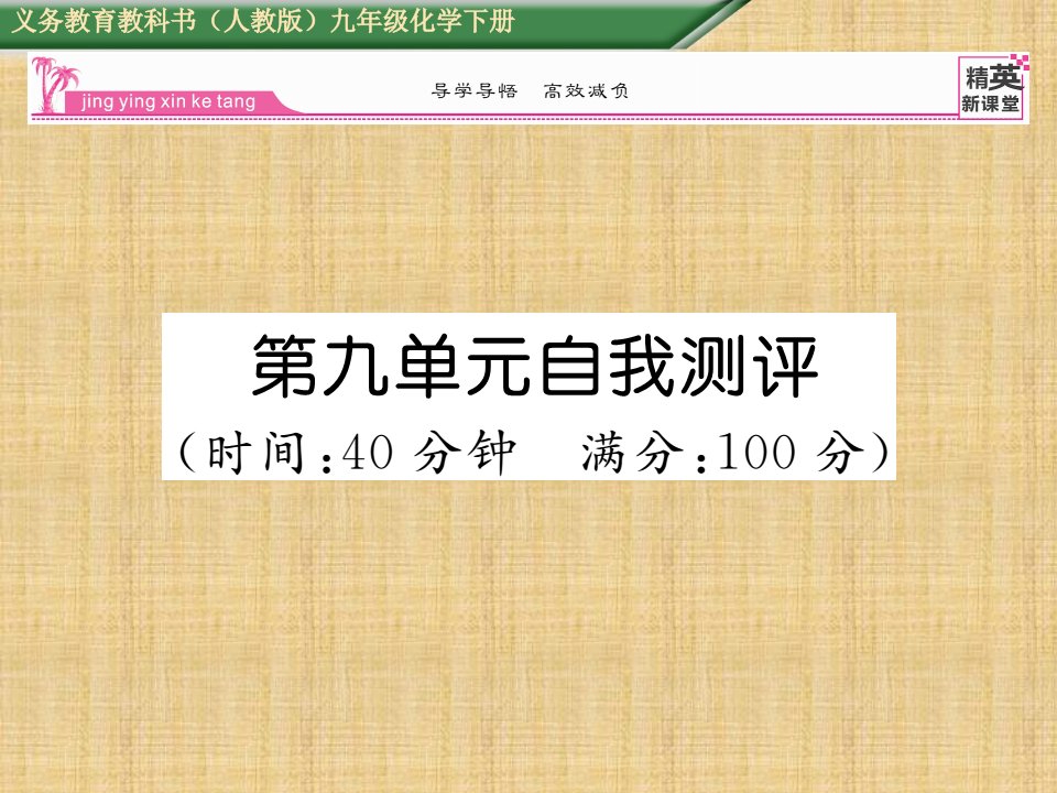 【精英新课堂】九年级化学下册