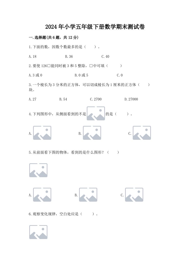 2024年小学五年级下册数学期末测试卷含答案【预热题】