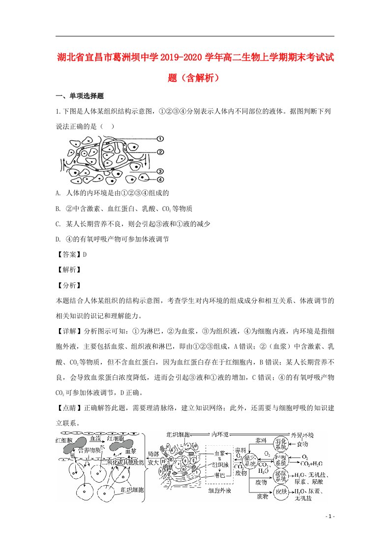 湖北省宜昌市葛洲坝中学2019_2020学年高二生物上学期期末考试试题含解析