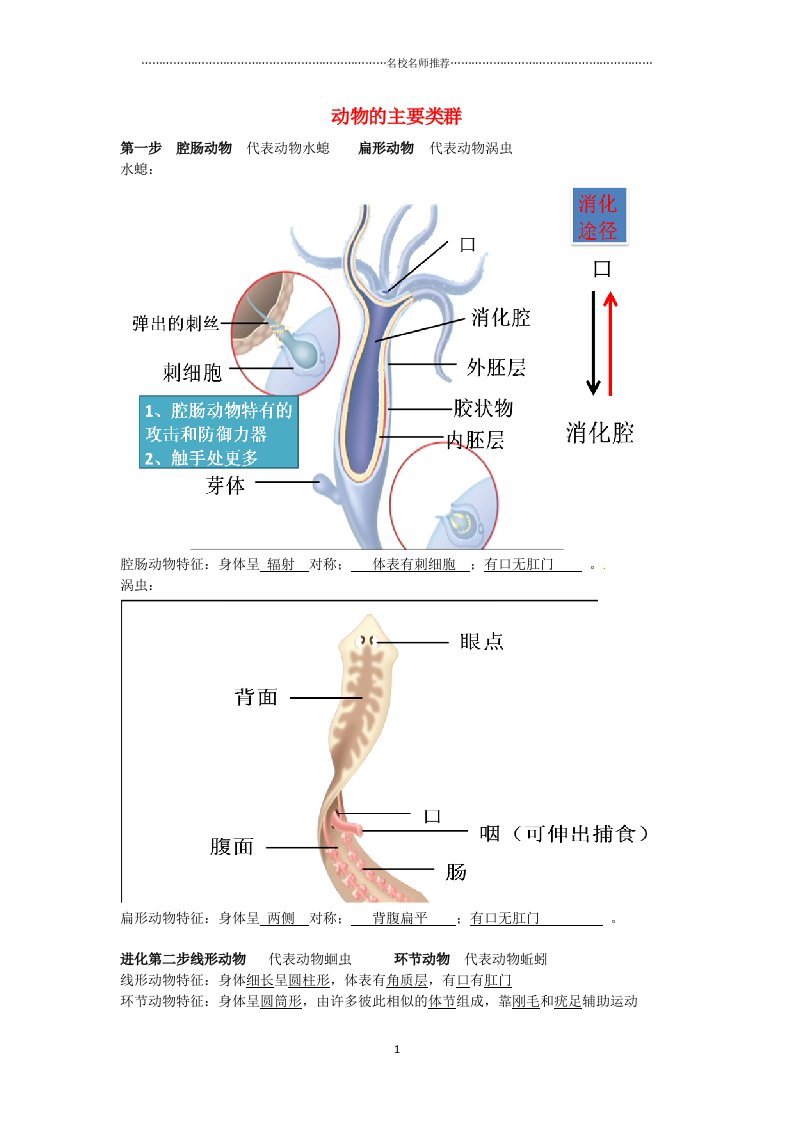 湖北省武汉市北大附中初中八年级生物上册《5.1