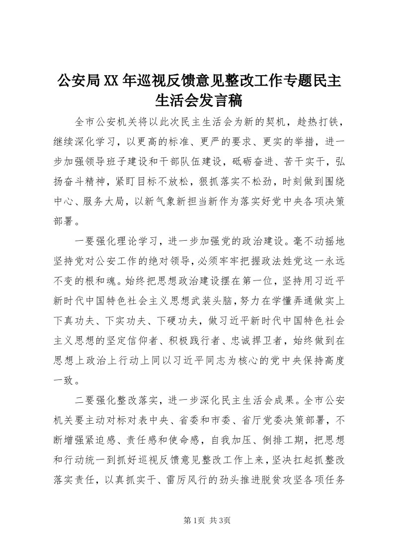 公安局某年巡视反馈意见整改工作专题民主生活会讲话稿