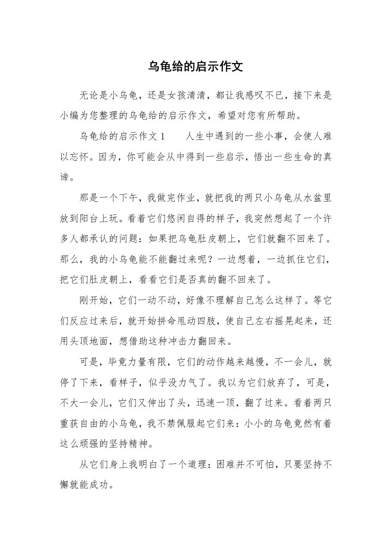 乌龟给的启示作文