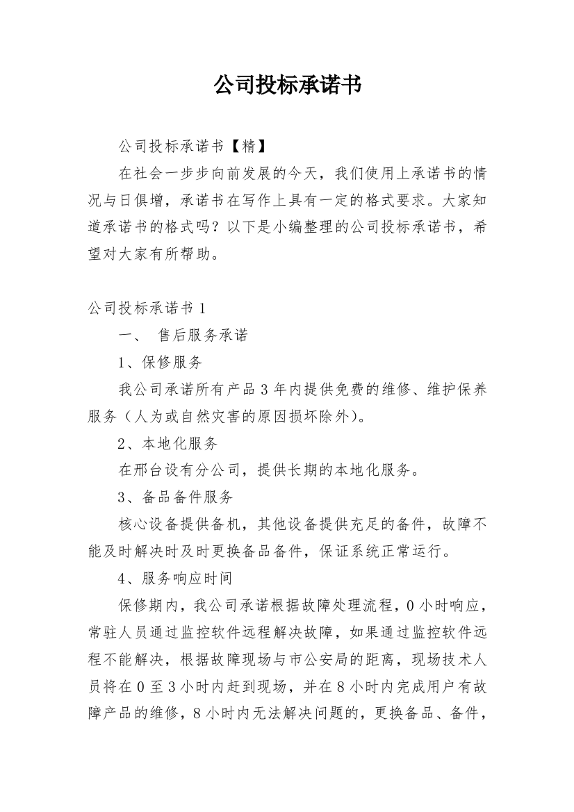 公司投标承诺书_13