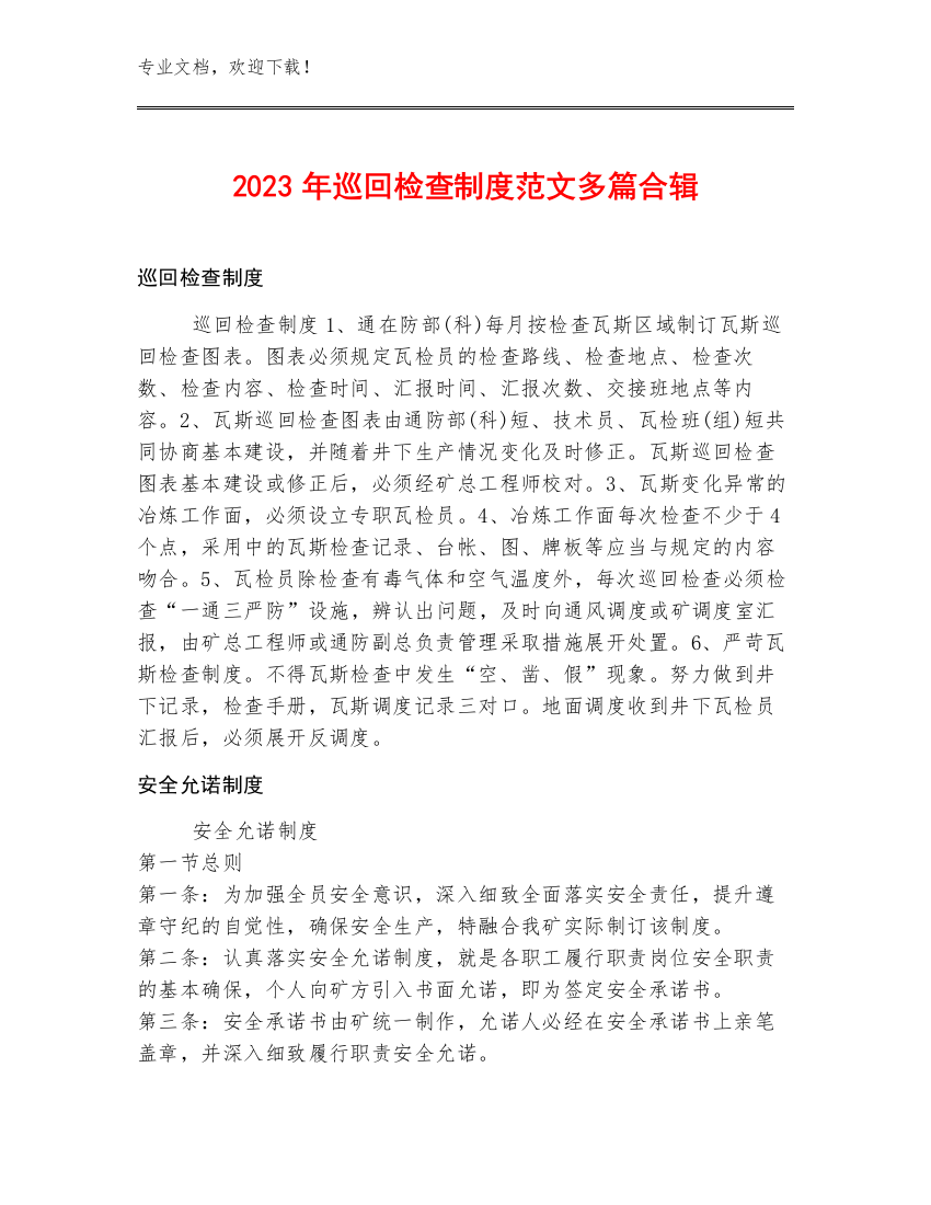 2023年巡回检查制度范文多篇合辑