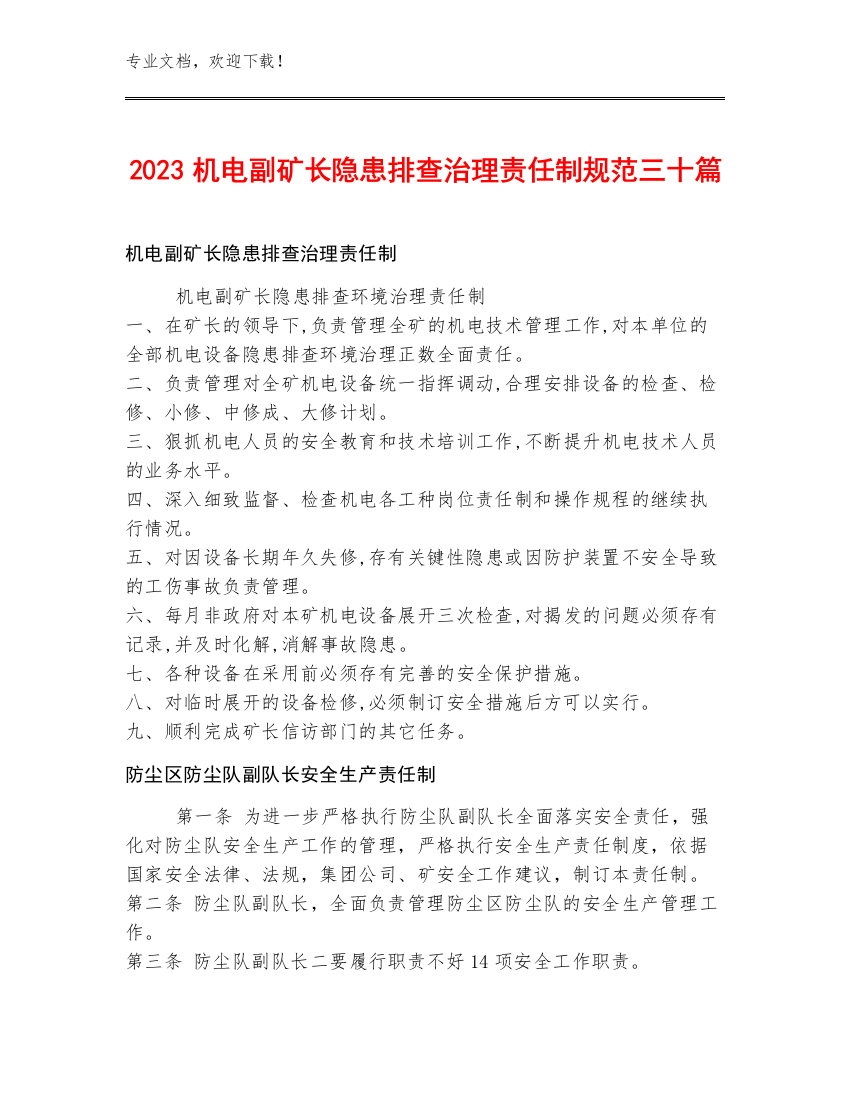 2023机电副矿长隐患排查治理责任制规范三十篇