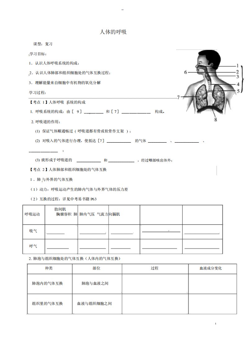 广东省河源市七年级生物下册4.3人体的呼吸教案(新版)新人教版