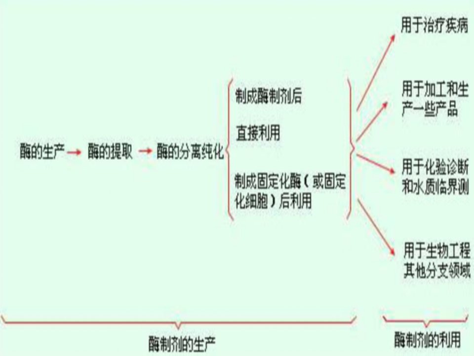 组成葡萄糖氧化酶电极