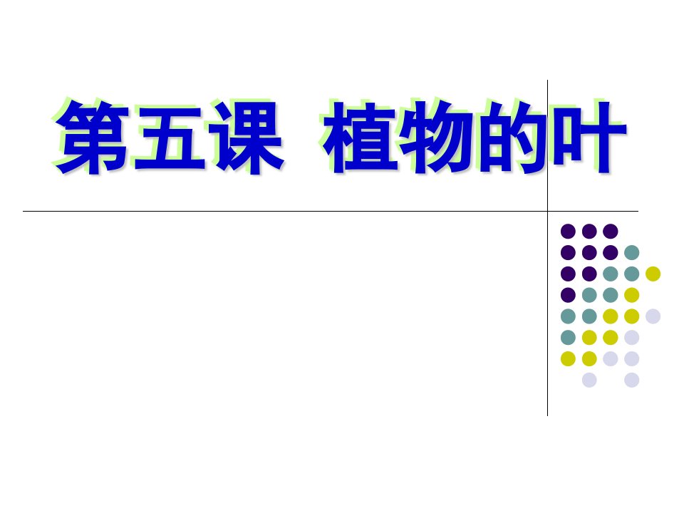 小学科学三年级上册植物的叶